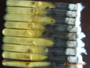 舒城縣金大地菌種廠 高品質(zhì)食用菌菌種產(chǎn)品與進(jìn)出口業(yè)務(wù)概覽