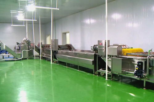 筑巢引鳳添動力，招商引資促發展 譜寫食用菌菌種進出口產業新篇章