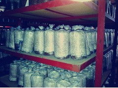 食用菌菌種進出口 產業發展的關鍵環節與規范管理